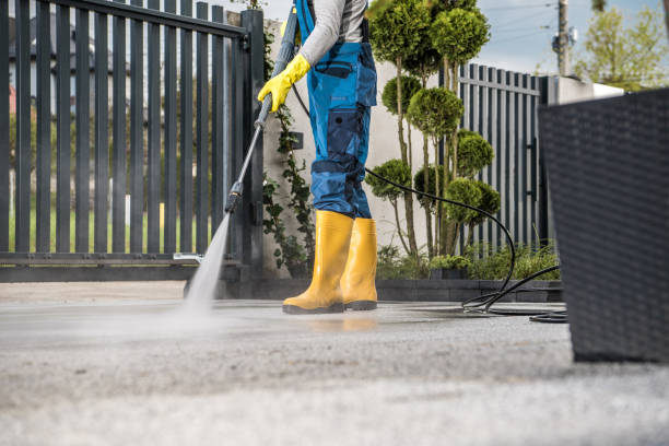 Best Gutter Cleaning and Brightening in Greentree, NJ